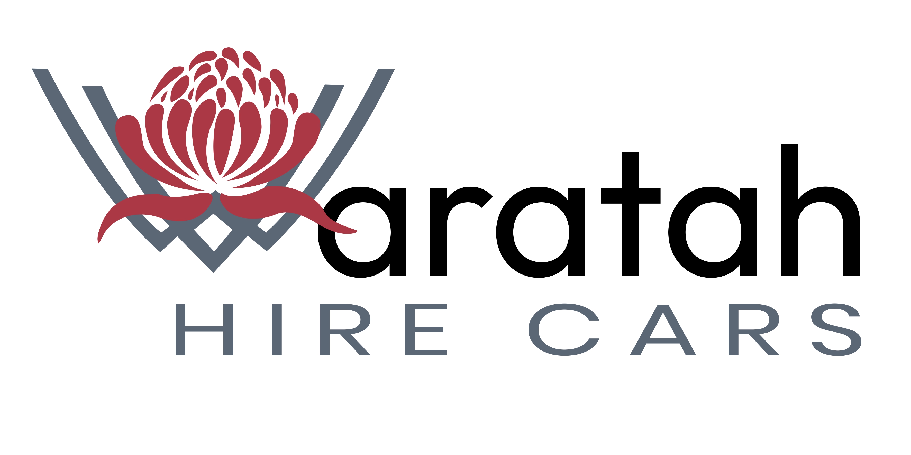 Waratah Hire Cars